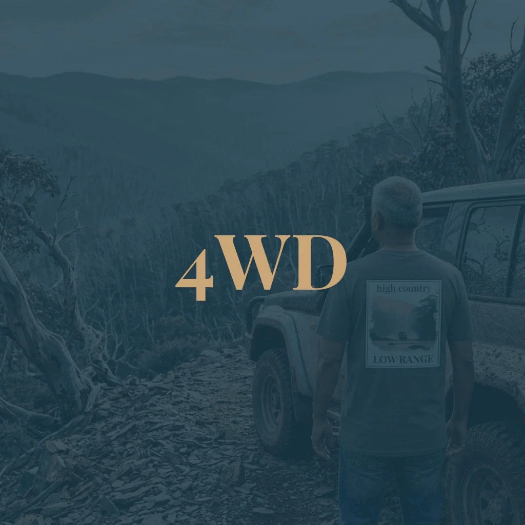 4WDing