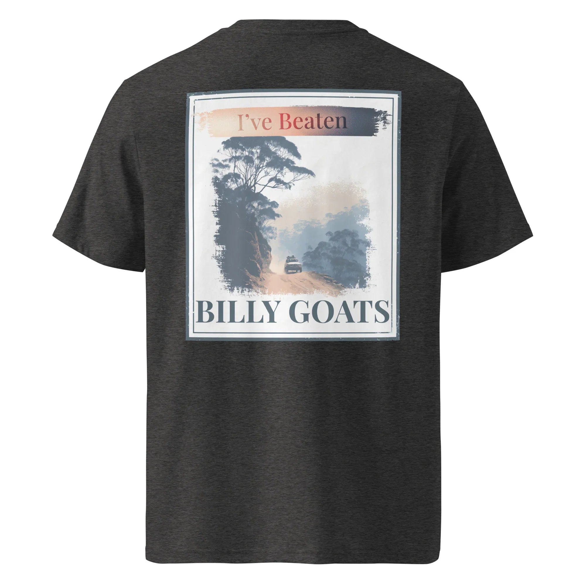 Organic tee back graphic 'Billy Goats' on anthracite grey