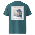 Organic T-shirt, teal, back graphic print with snowy landscape in framed panel